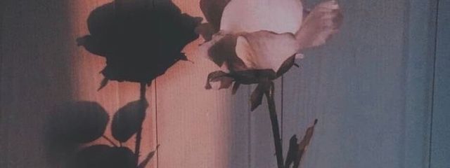 ｺｱ~☠*さんの壁紙画像