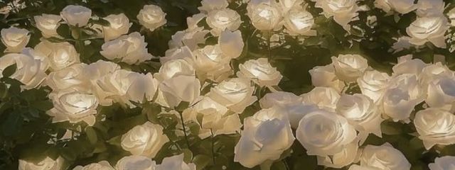 翠 依さんの壁紙画像