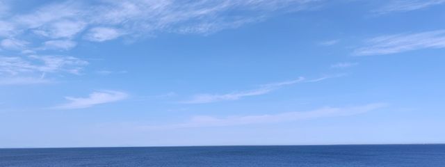 しろもち🤍🍡@不定期更新(低浮上気味)さんの壁紙画像