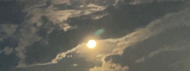 わにと🐊❤️さんの壁紙画像