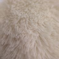 Sさんのアイコン画像