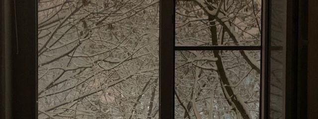   冬霞  さんの壁紙画像