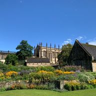 Meeさんのアイコン画像