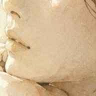 yajjimさんのアイコン画像