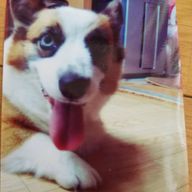 しおりんさんのアイコン画像