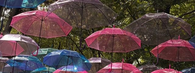 M.Mさんの壁紙画像