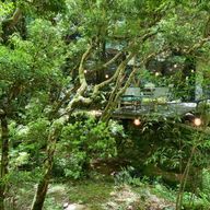 M.Mさんのアイコン画像