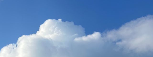 るんさんの壁紙画像