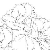 るんさんのアイコン画像