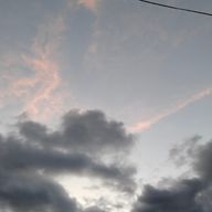 🎼🍀︎さんのアイコン画像