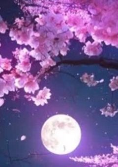 生徒会、実は…ヤンデレばかり?!　(参加型)