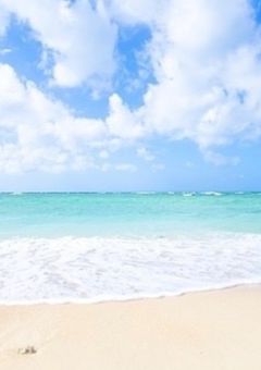 夏の思い出【参加型】