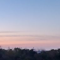 Love Leaf 🍀さんのアイコン画像