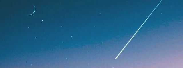 狛犬 　26歳さんの壁紙画像