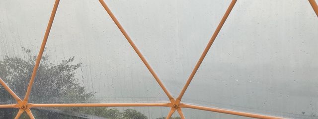 円さんの壁紙画像