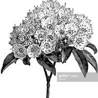 麗実さんのアイコン画像