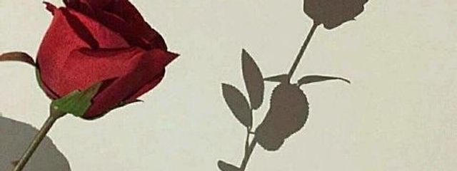 ー🥀藍沢愛羽✧*̣̩⋆☽⋆さんの壁紙画像