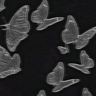 R1anさんのアイコン画像