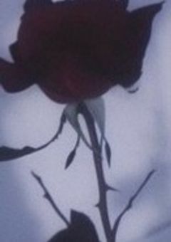 マ ッ チ ン グ  ＿＿＿＿＿＿＿  ¿