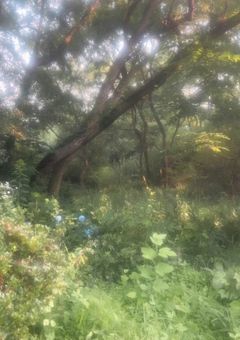 少女漫画のようで少女漫画じゃないんです