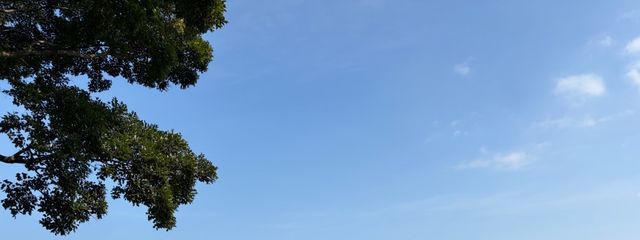 Kinaさんの壁紙画像