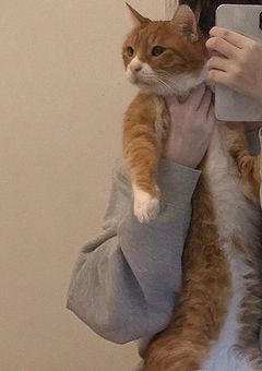 SixTONESの紅一点Instagram