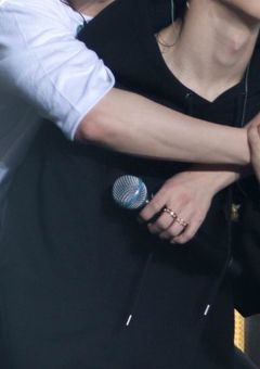 猫2匹の躾の仕方