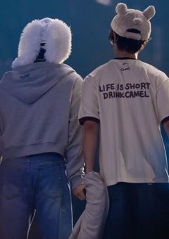 兎二匹の取り扱い説明書．