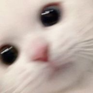 なのはな畑🌼さんのアイコン画像