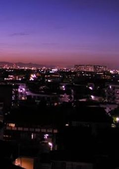 バニーボーイ、セクハラされてます