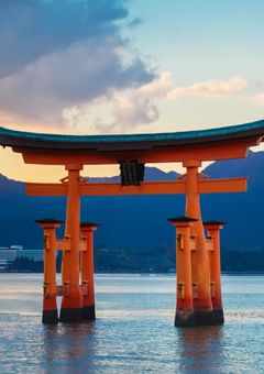 刀剣男士に嫌われています