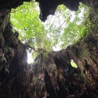 ꒰ঌ𝐖𝐚𝐤𝐚໒꒱さんのアイコン画像