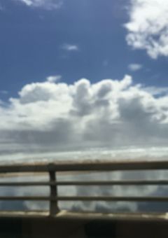 活動情報📢&雑談部屋