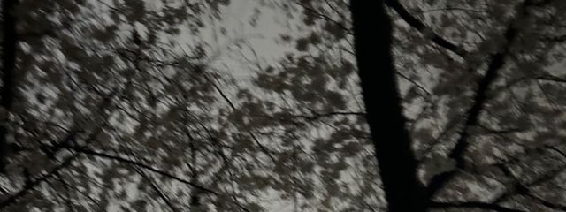 Luaさんの壁紙画像