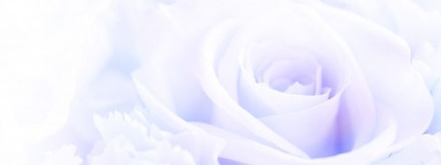 京 川 ゆ ず ❁.*･ﾟ さんの壁紙画像