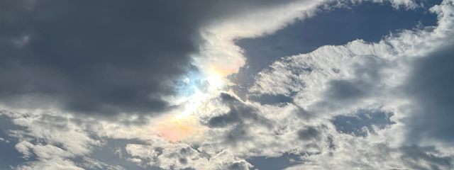 もふお。さんの壁紙画像