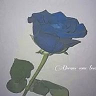 雲宮☂﻿🌧さんのアイコン画像