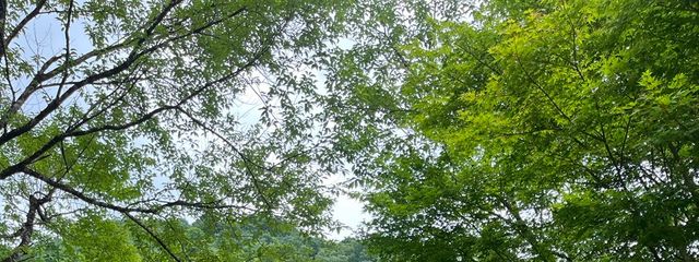 わたなべっ！さんの壁紙画像