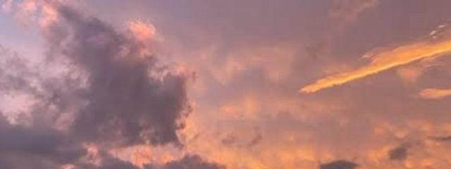 SakuLaさんの壁紙画像