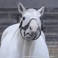 るんるんさんのアイコン画像