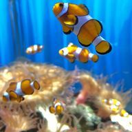 ただの人さんのアイコン画像