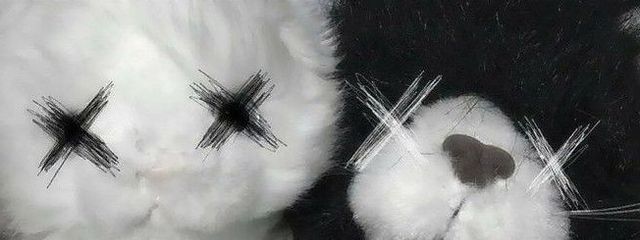 　　　　志　乃さんの壁紙画像