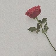 井ノ中 らゔまるさんのアイコン画像