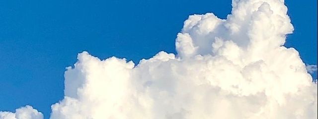 海月さんの壁紙画像