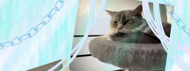 ずきん(だんご)さんの壁紙画像