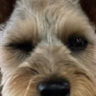 じょういちぃさんのアイコン画像