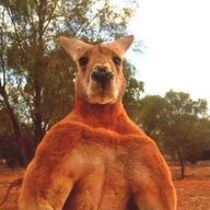 しししさんのアイコン画像