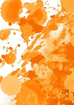 【BSD】転生?!そんなわけねえっ!!