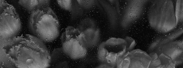 後藤さんの壁紙画像