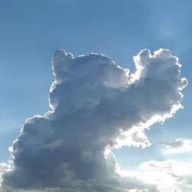 さっちんさんのアイコン画像